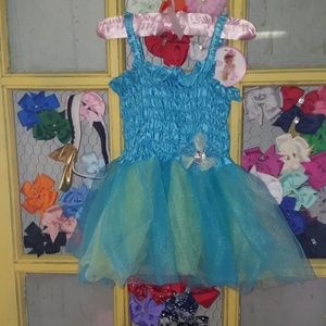 Princess Expressions Dress!